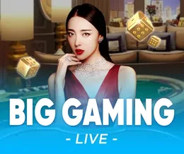 Big Gaming game provider